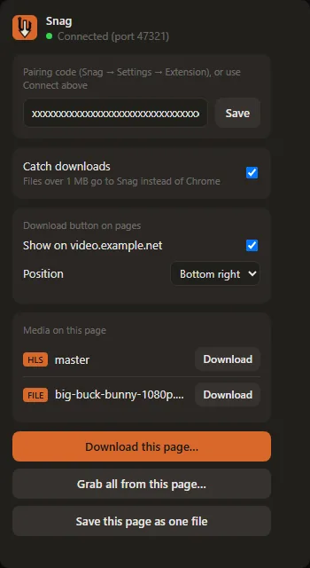 The browser extension’s popup: connected to Snag, catching downloads, the media found on the page, and buttons to download or save the page
